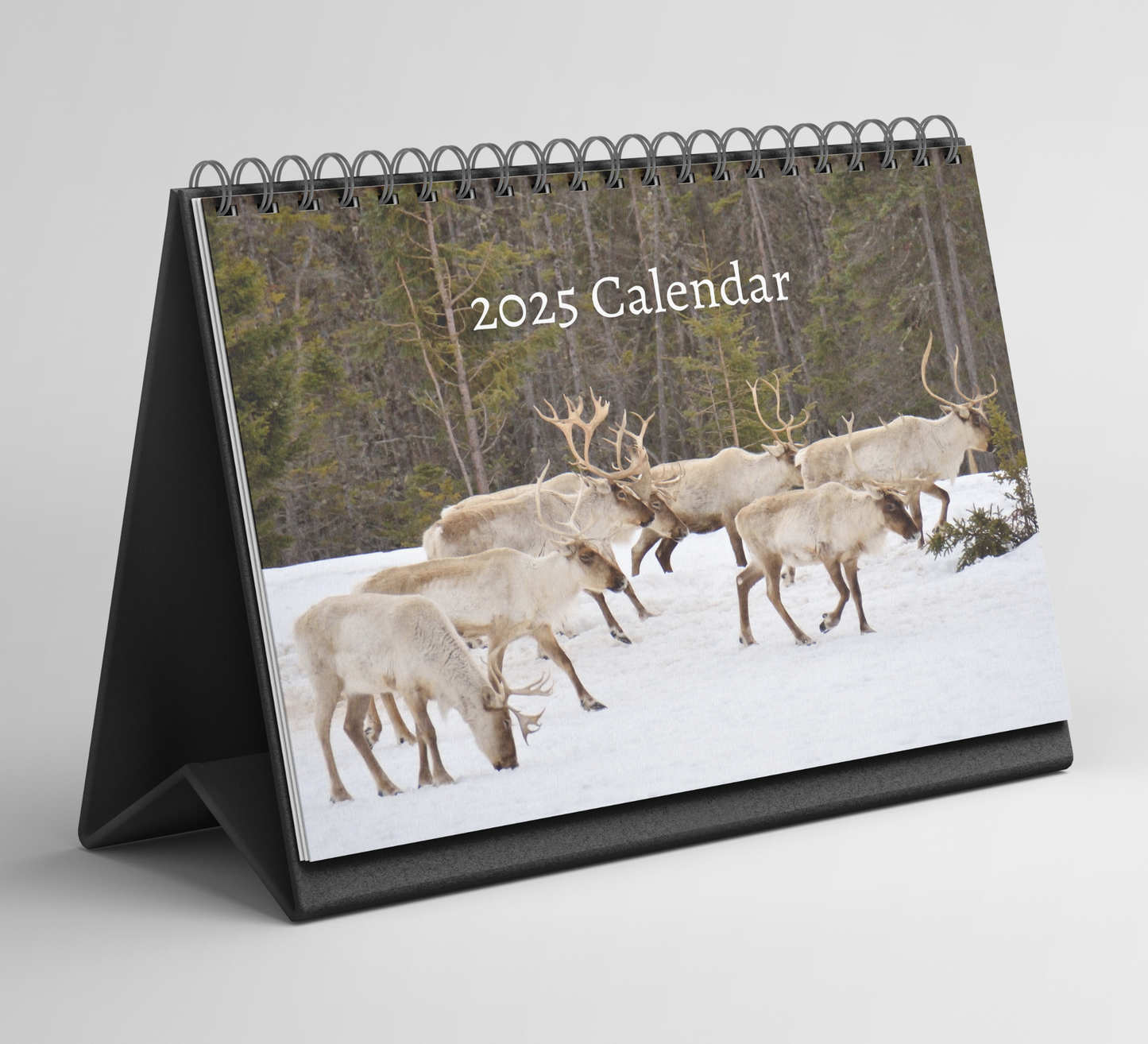 Reindeer Desk Calendar 2025