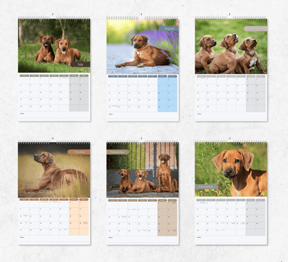 Rhodesian Ridgeback Calendar 2025