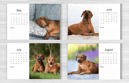 Rhodesian Ridgeback Desk Calendar 2025
