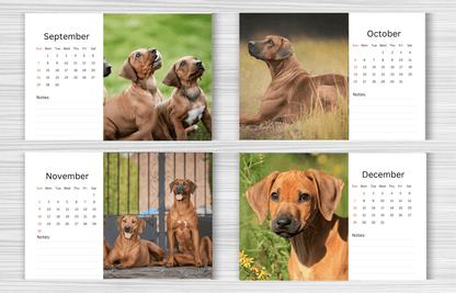 Rhodesian Ridgeback Desk Calendar 2025