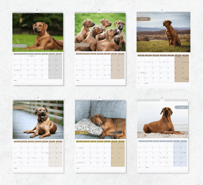 Rhodesian Ridgeback Calendar 2025