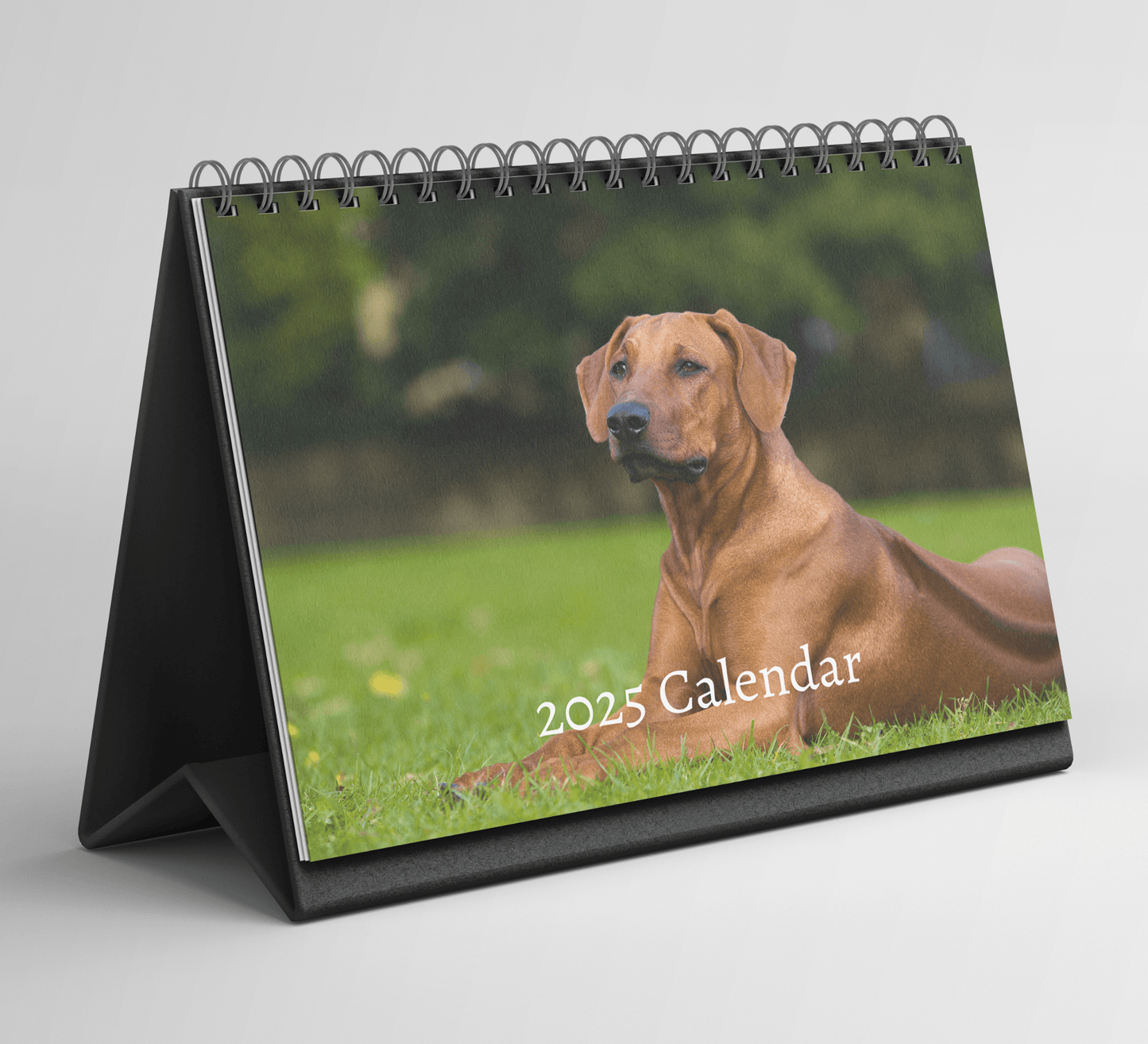 Rhodesian Ridgeback Desk Calendar 2025
