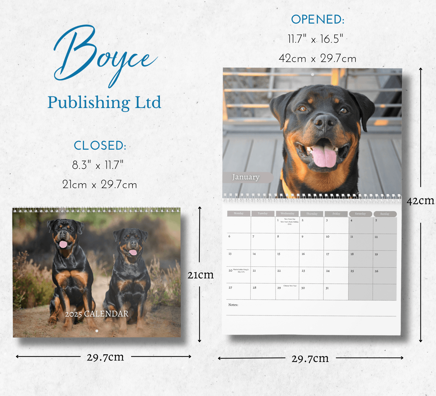 Rottweiler Calendar 2025