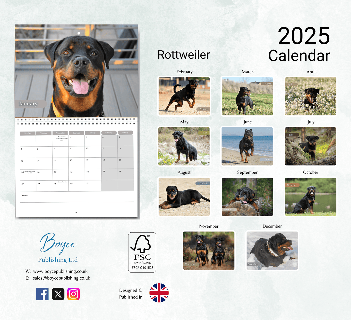 Rottweiler Calendar 2025