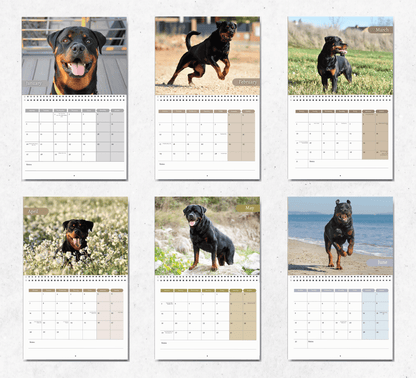 Rottweiler Calendar 2025