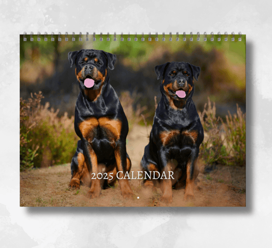 2025 Rottweiler Calendar featuring a cover image of two rottweiler dogs sitting next to each other on a path with grass next to them on either side.