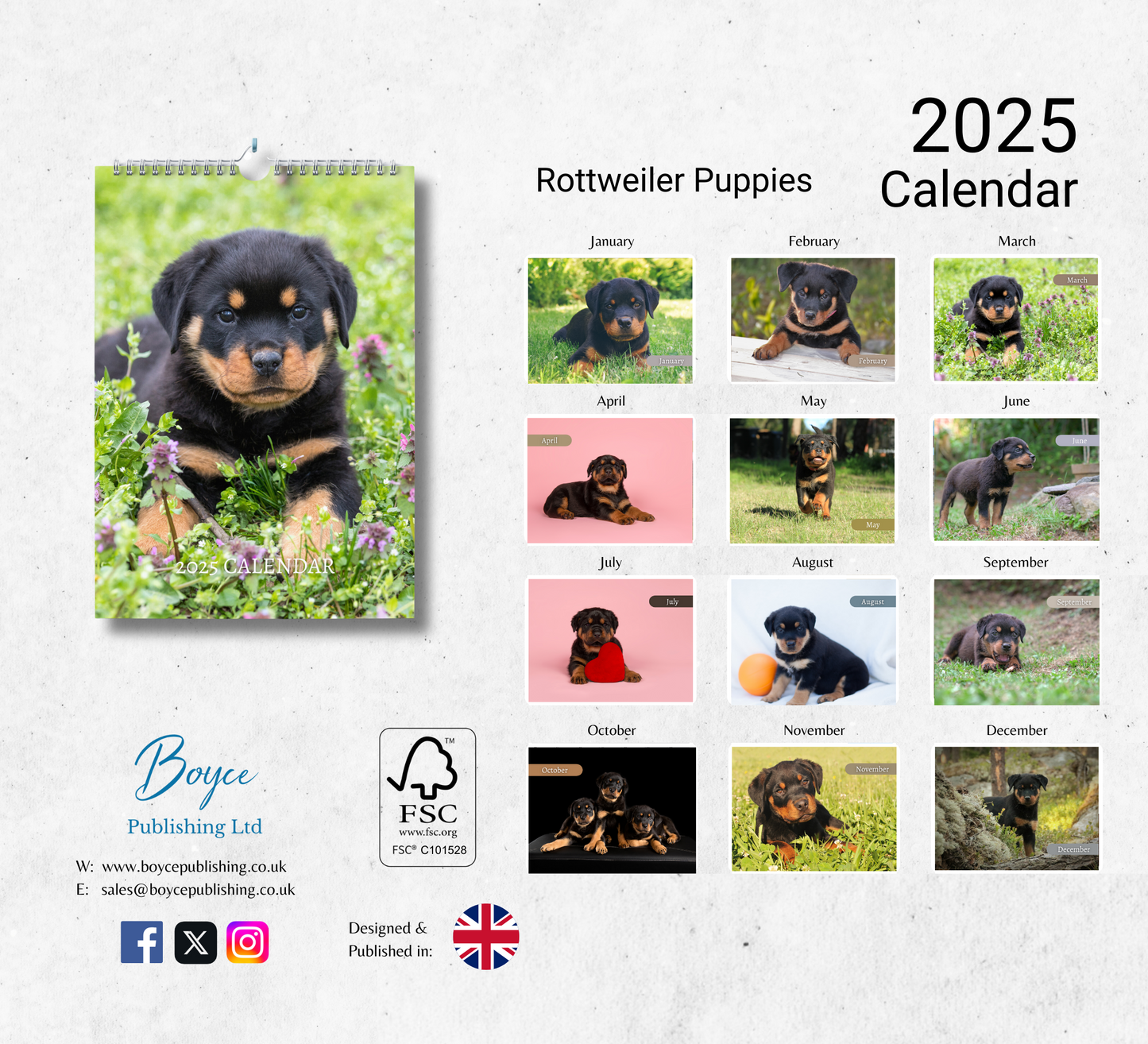 Rottweiler Puppies Calendar 2025