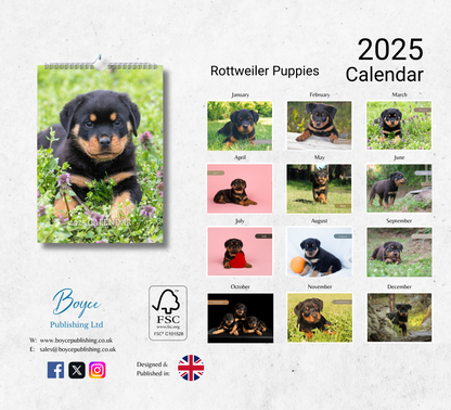 Rottweiler Puppies Calendar 2025