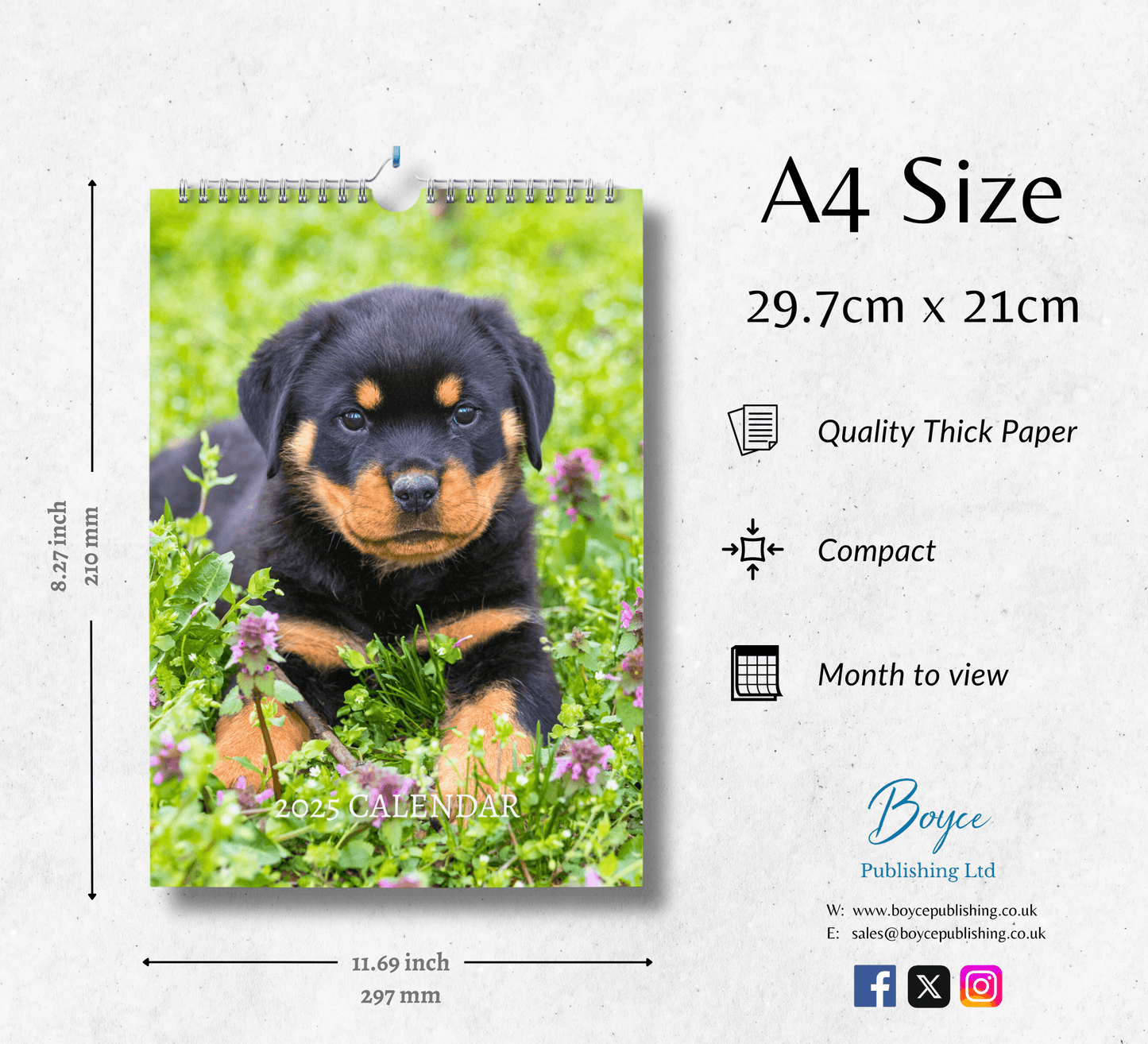 Rottweiler Puppies Calendar 2025