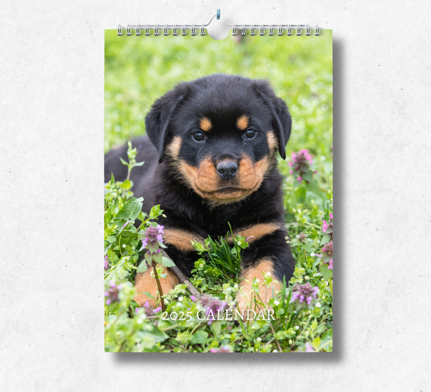 2025 rottweiler puppy Terrier calendar featuring an adorable cut puppy laying in a field of grass and purple flowers.