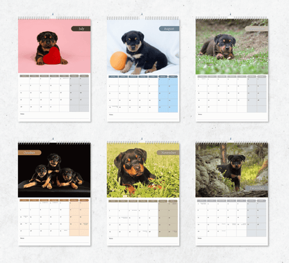 Rottweiler Puppies Calendar 2025