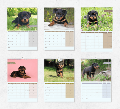 Rottweiler Puppies Calendar 2025