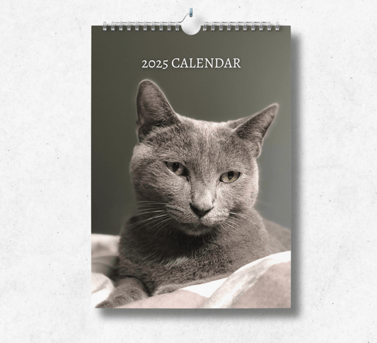 2025 Russian Blue Cat calendar featuring a grey russian blue cat laying on a duvet with a dark grey background.