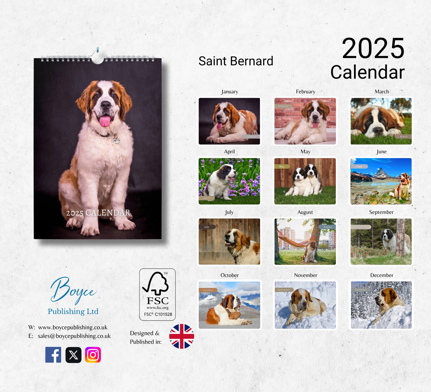 Saint Bernard Calendar 2025