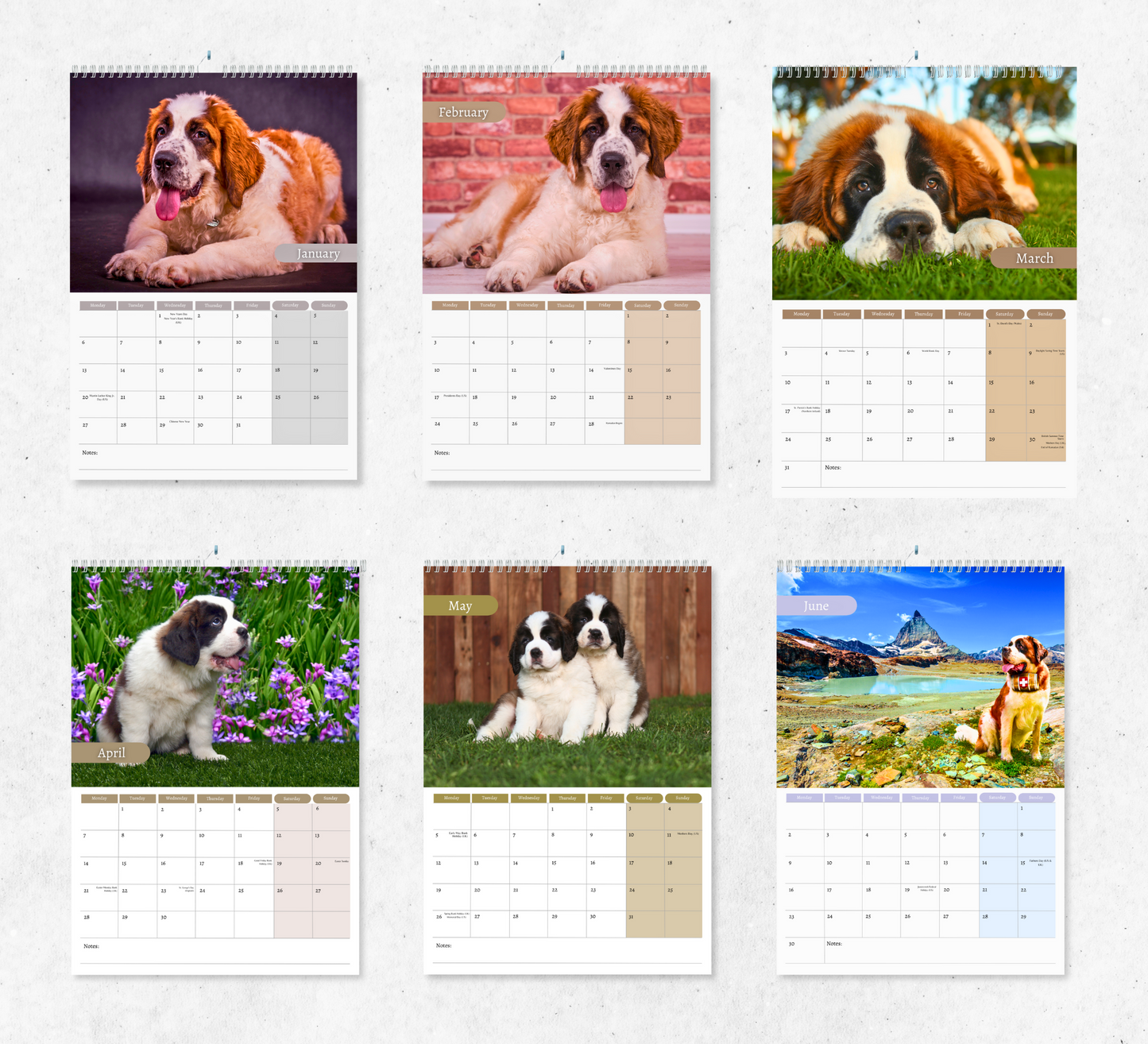 Saint Bernard Calendar 2025