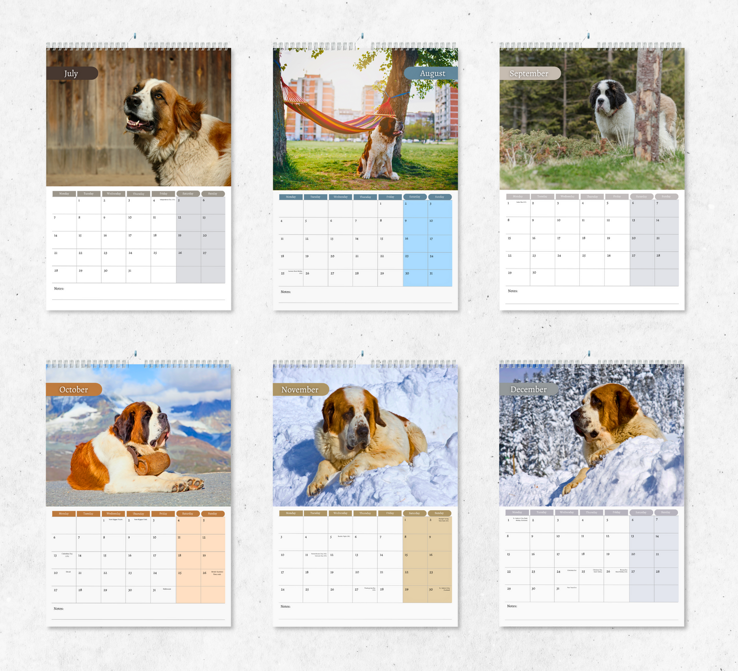 Saint Bernard Calendar 2025