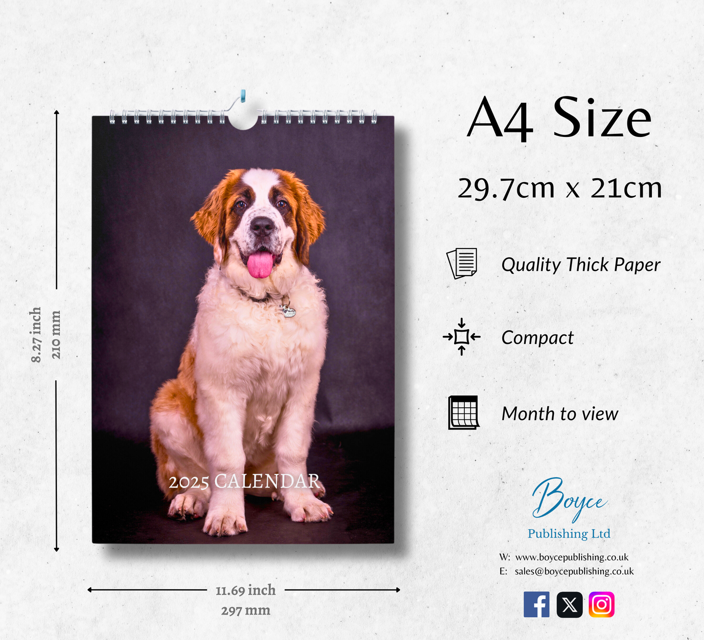 Saint Bernard Calendar 2025