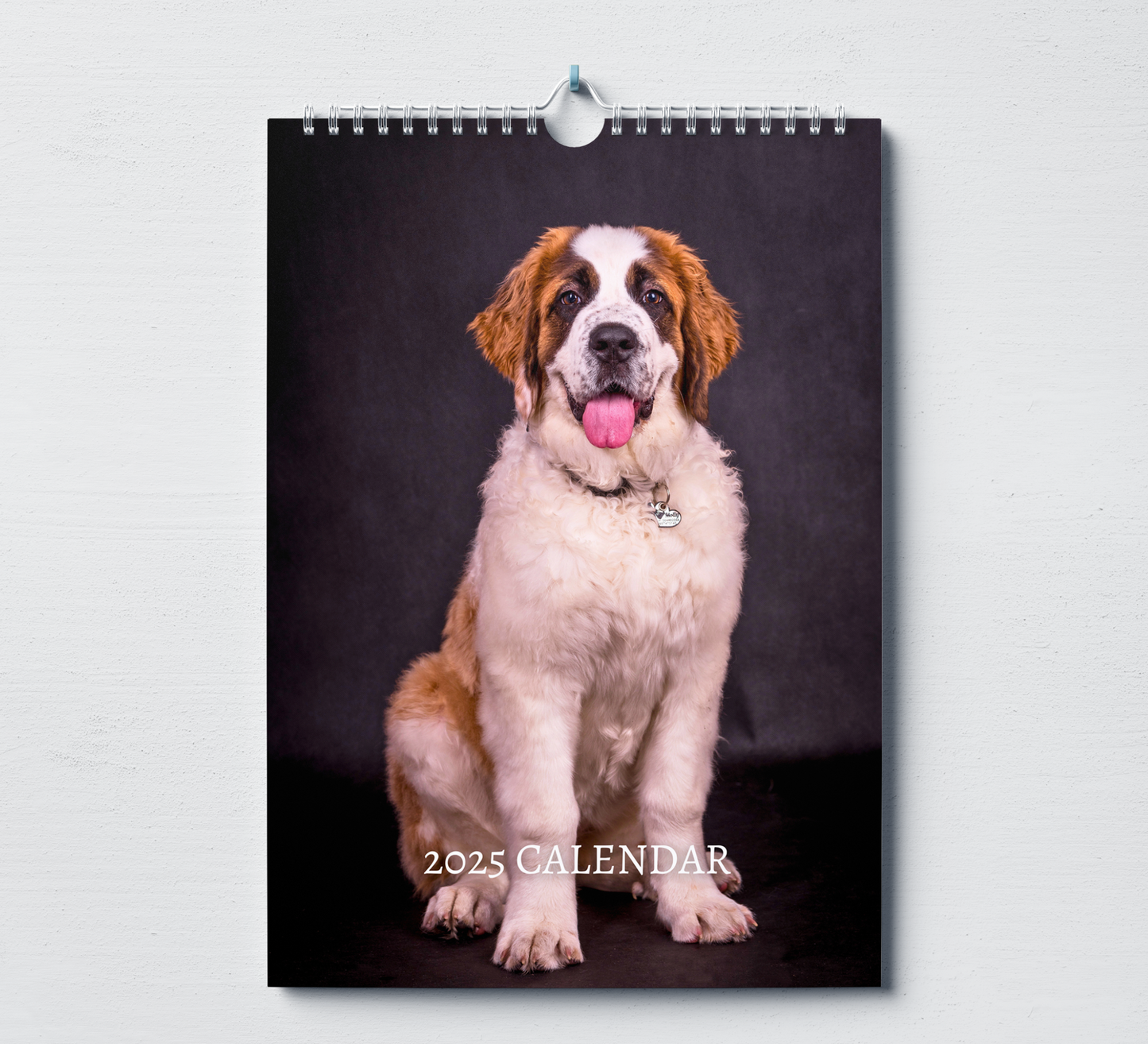 Saint Bernard Calendar 2025