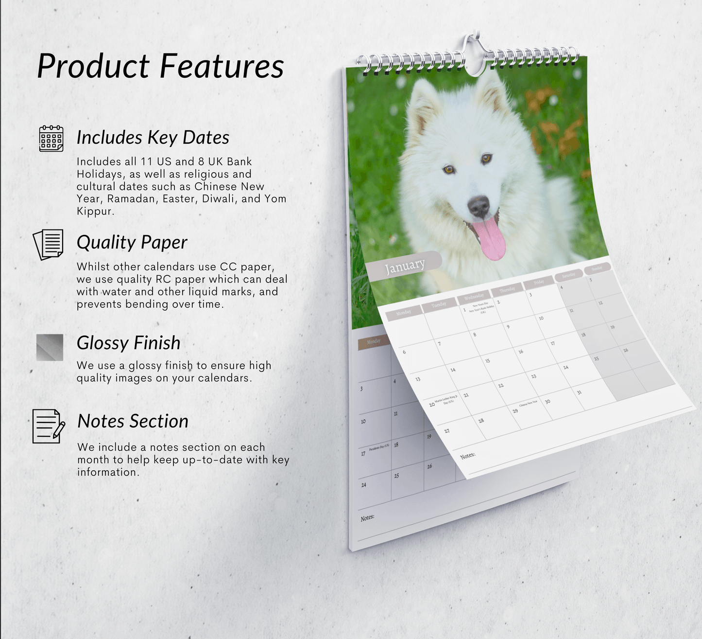 Samoyed Calendar 2025