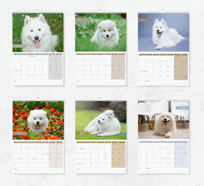 Samoyed Calendar 2025