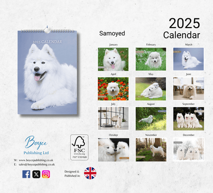 Samoyed Calendar 2025