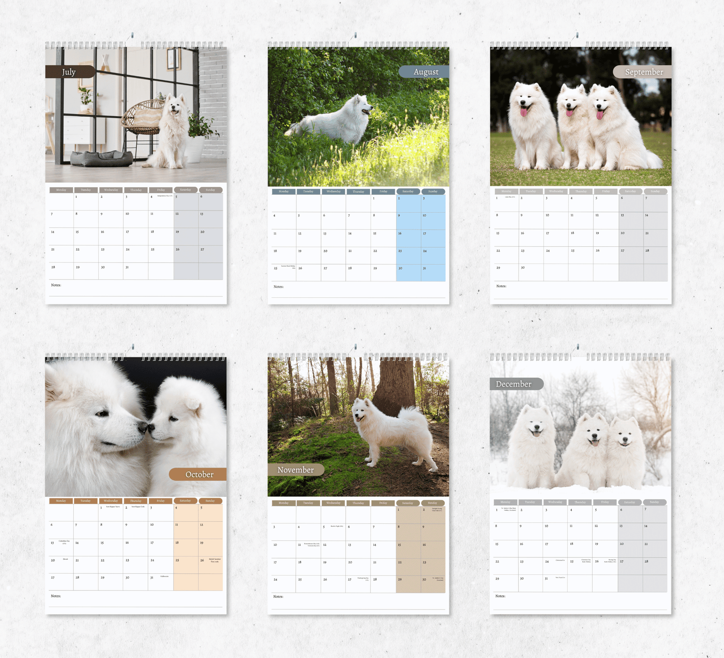 Samoyed Calendar 2025