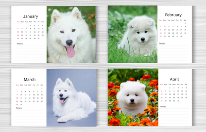 Samoyed Desk Calendar 2025