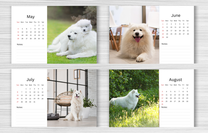 Samoyed Desk Calendar 2025