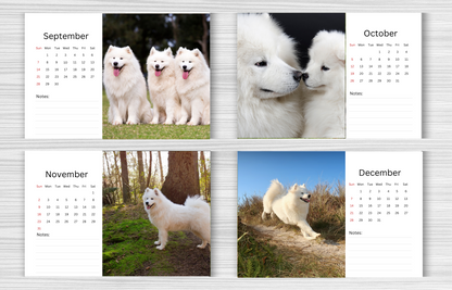 Samoyed Desk Calendar 2025