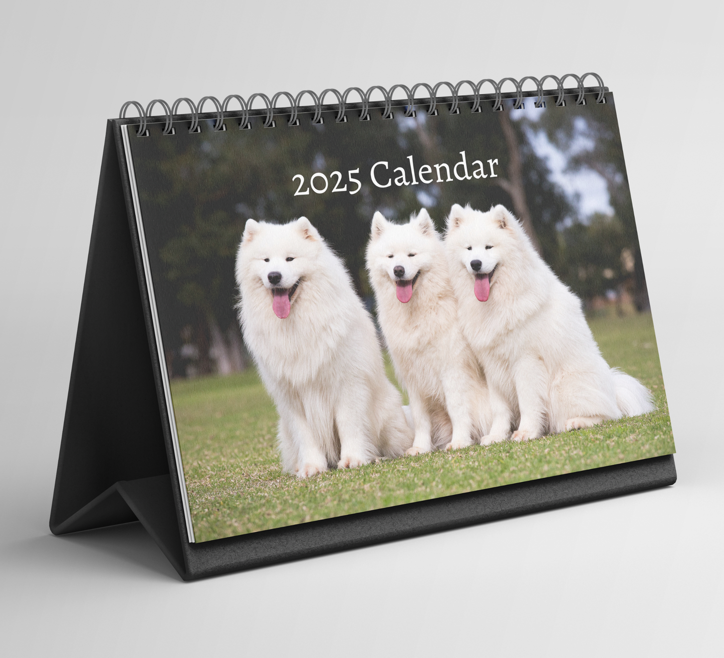 Samoyed Desk Calendar 2025
