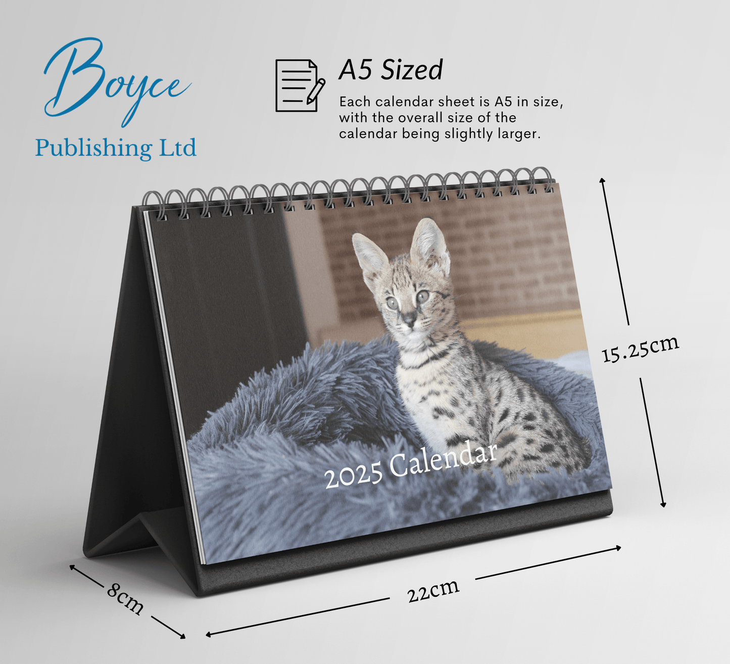 Savannah Cat Desk Calendar 2025