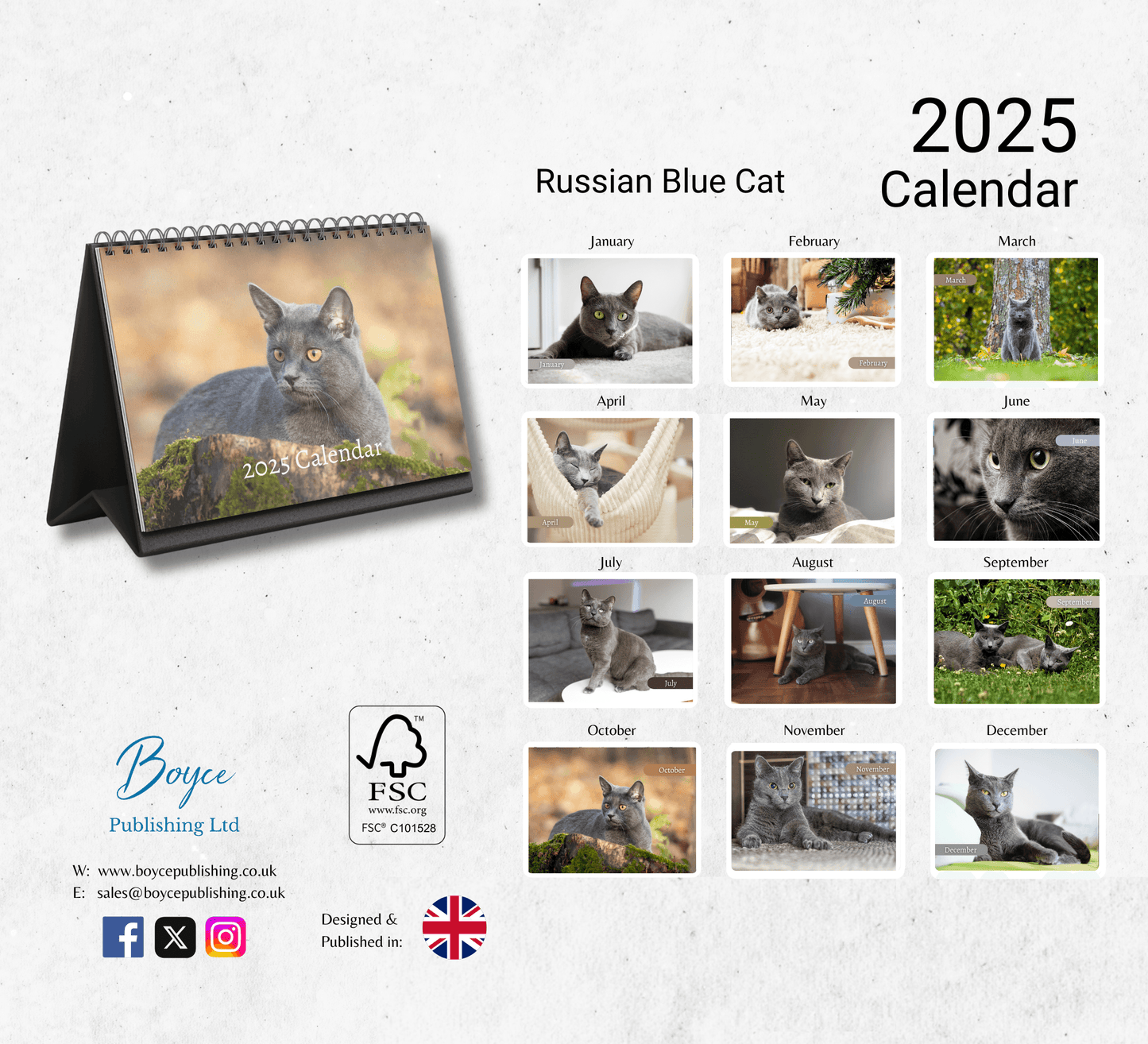 Russian Blue Cat Desk Calendar 2025