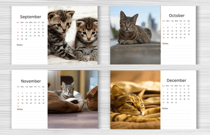 Savannah Cat Desk Calendar 2025