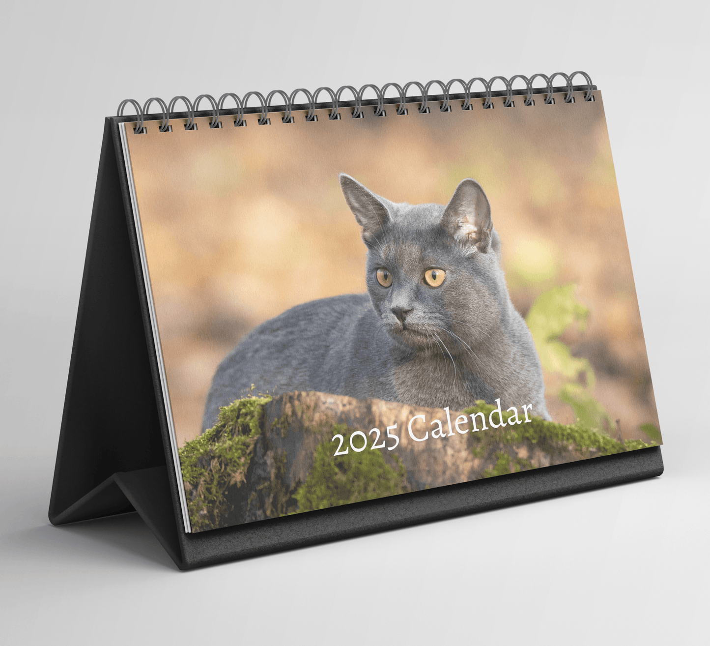 Russian Blue Cat Desk Calendar 2025