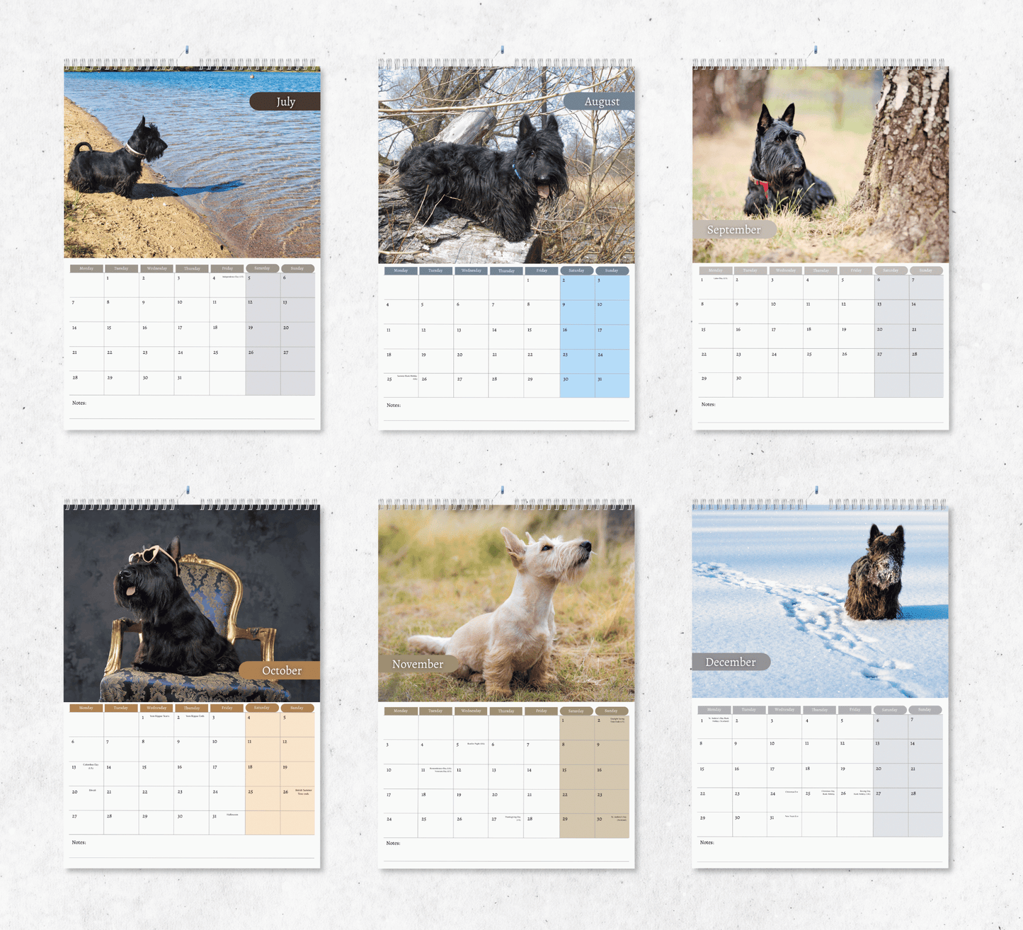 Scottish Terrier Calendar 2025