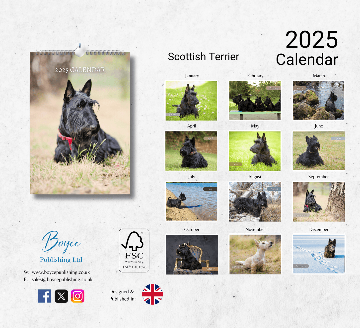 Scottish Terrier Calendar 2025