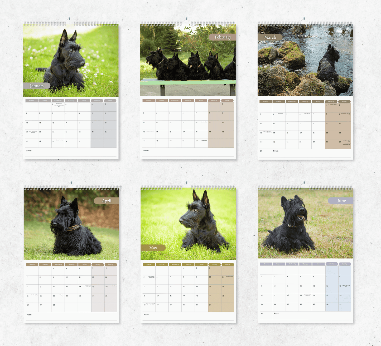 Scottish Terrier Calendar 2025