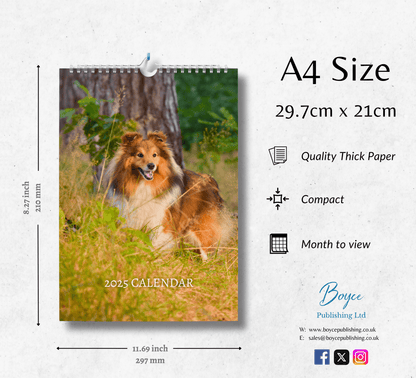 Shetland Sheepdog Calendar 2025