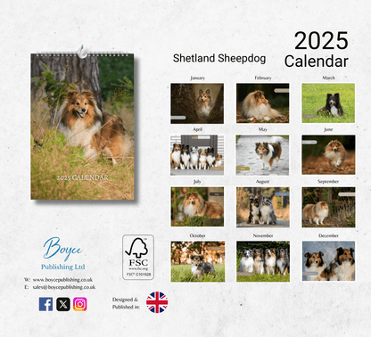 Shetland Sheepdog Calendar 2025