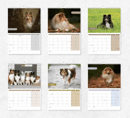 Shetland Sheepdog Calendar 2025