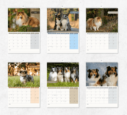 Shetland Sheepdog Calendar 2025