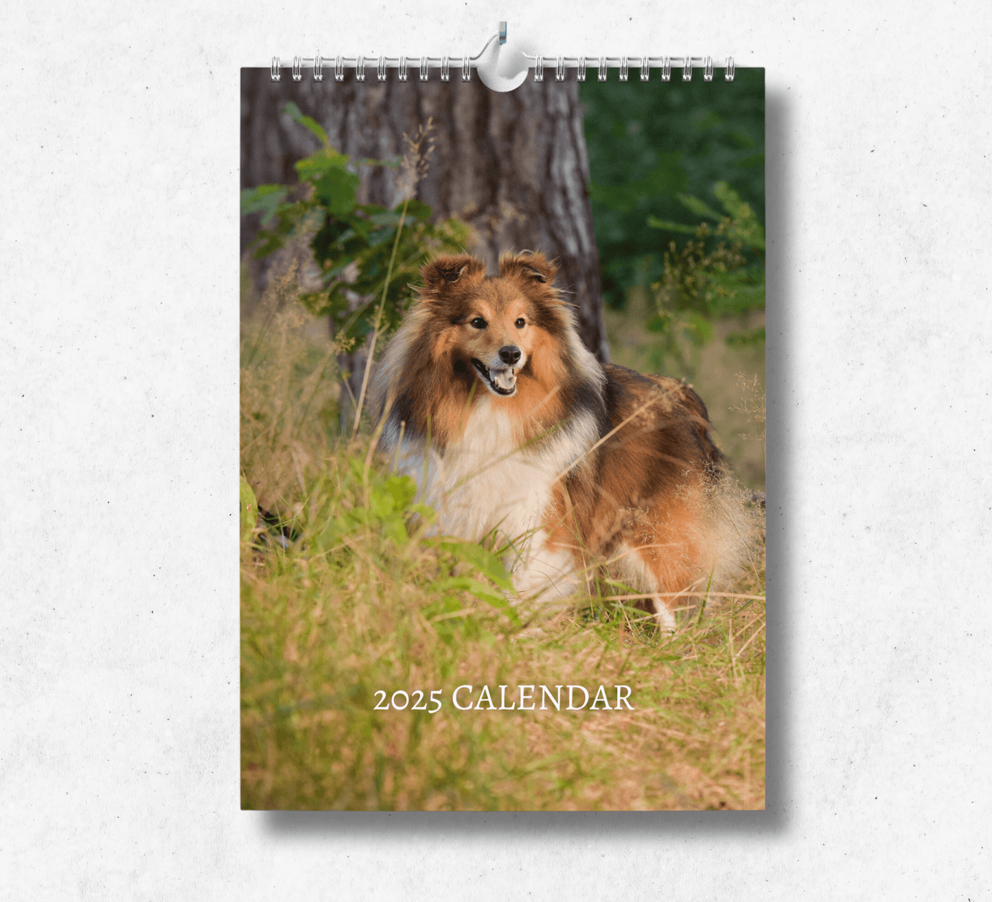 2025 Shetland Sheepdog calendar featuring a beautiful shetland sheepdog looking into the distance, panting in front of a large tree.