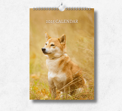 2025 Shiba Inu calendar featuring a brown shiba inu sitting in a field of long yellow grass.