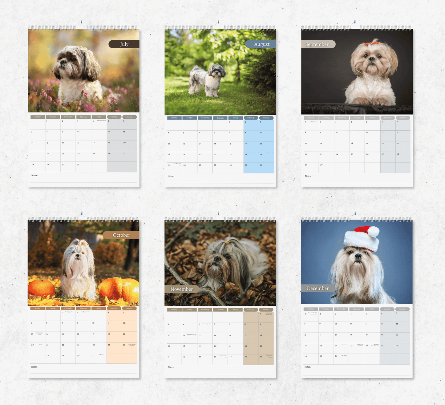 Shih Tzu Calendar 2025