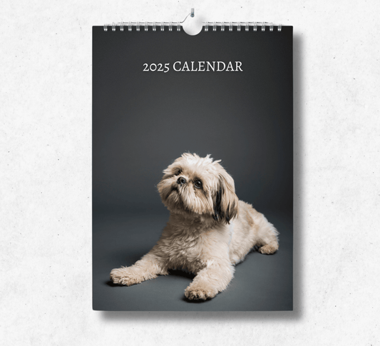 2025 Shih Tzu calendar featuring a white shih tzu laying on the floor, looking up into the sky with a dark grey background.