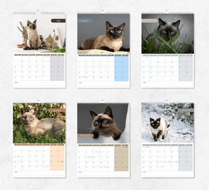 Siamese Cat Calendar 2025