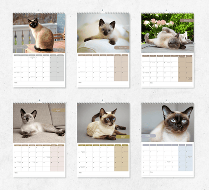 Siamese Cat Calendar 2025