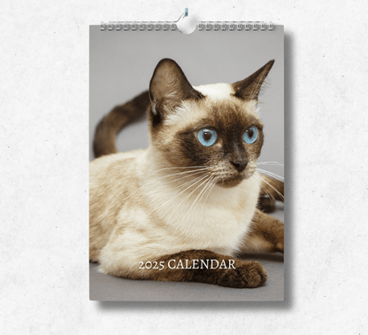 2025 Siamese Cat calendar featuring a white siamese cat with brown patches on their face and ears, laying down on a grey background.