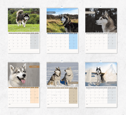 Siberian Husky Calendar 2025