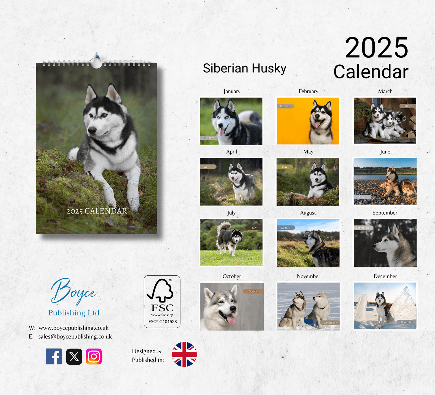 Siberian Husky Calendar 2025